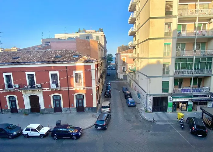 Terranova House 19